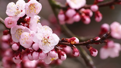 江西專業(yè)網(wǎng)站搭建批發(fā)，助力中小企業(yè)提升品牌影響力與拓展市場新渠道